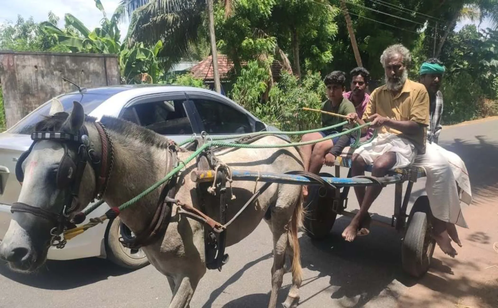 Can't put petrol Travel in a horse cart!